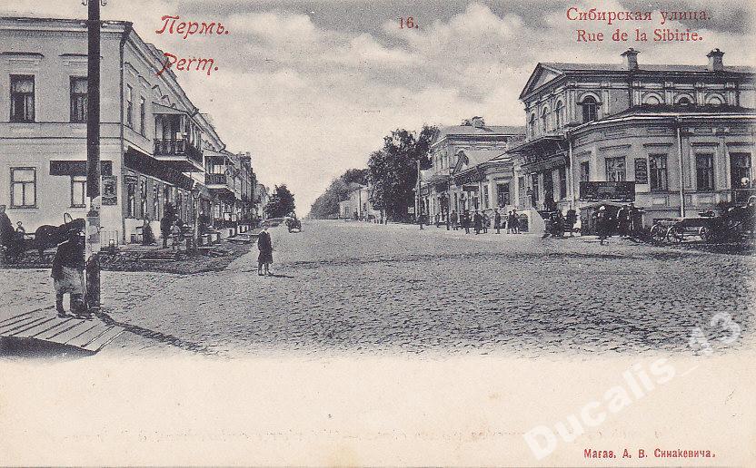 Ул сибирская. Сибирская улица. Сибирская 16 Пермь. Дача Синакевича Пермь