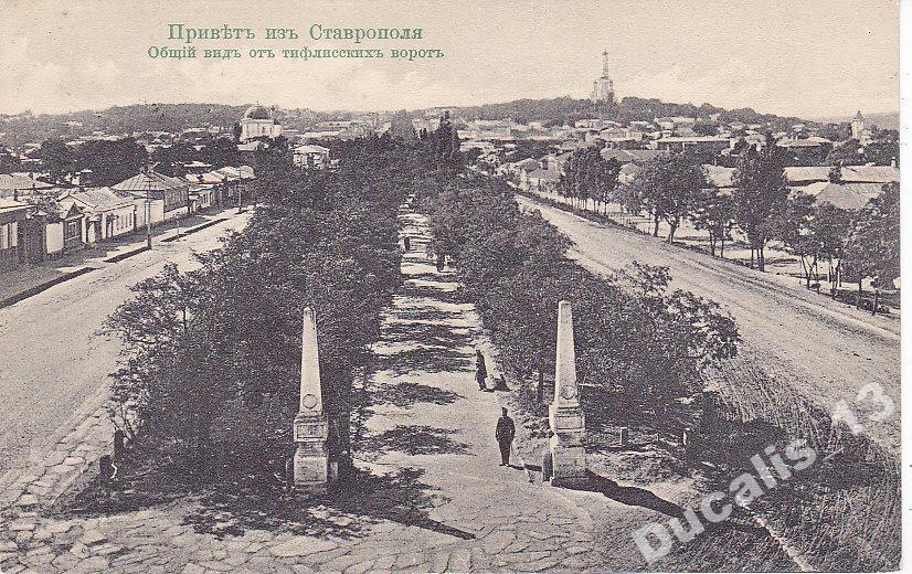 Ворота В Ставрополе Фото