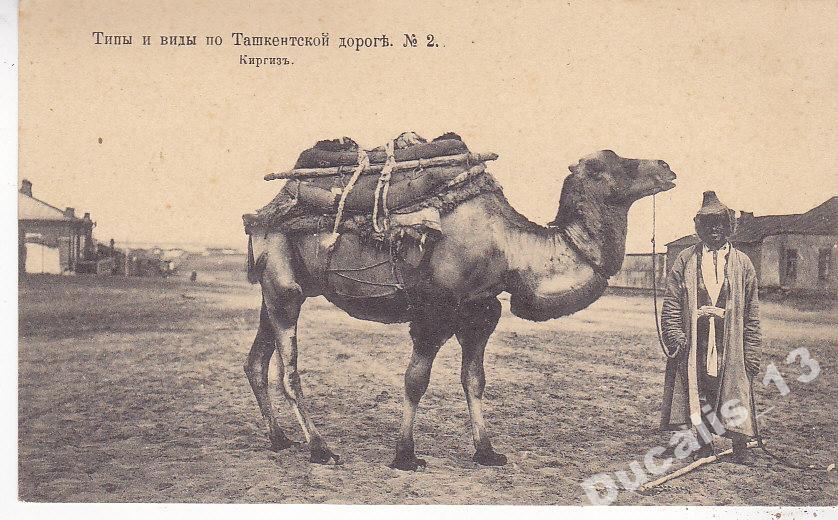 Как сделать проект караван забытых книг казахстан