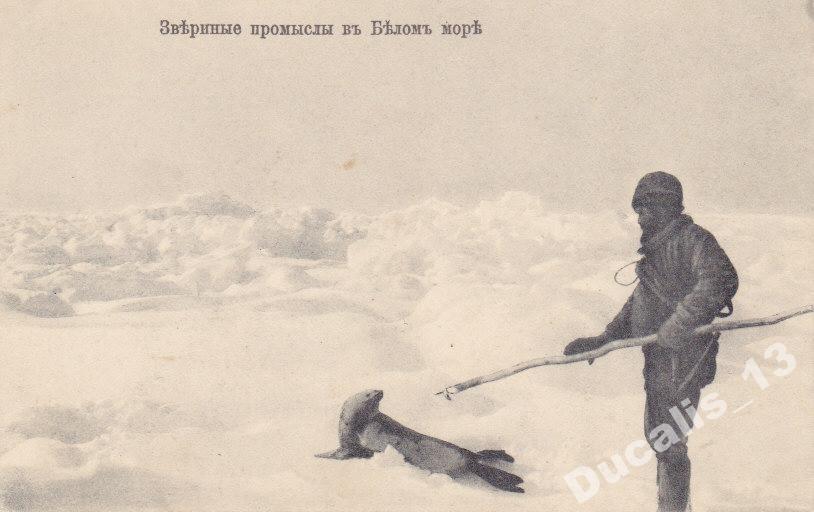 Рисунки к исследованию рыбных и звериных промыслов на белом и северном морях 1863 г
