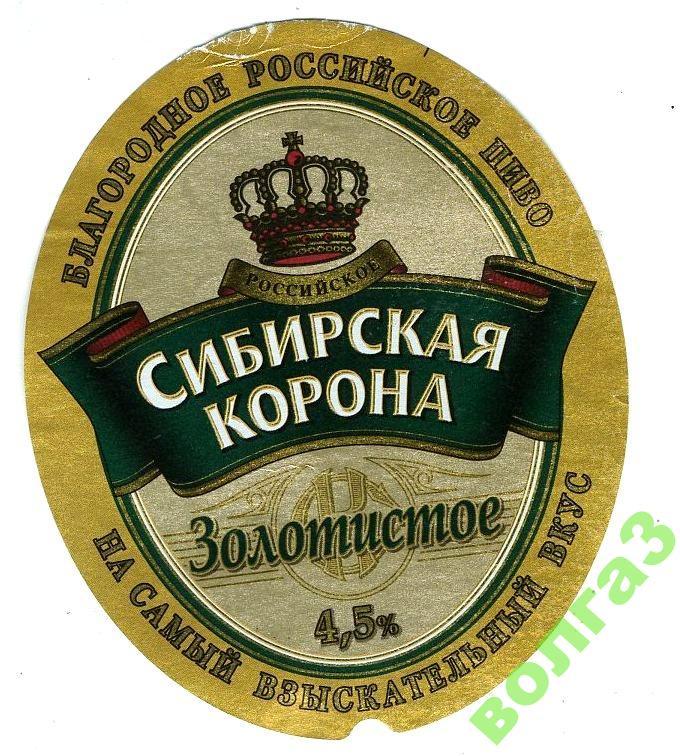 Пиво Золотой Кабан Где Купить