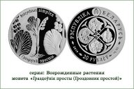 20 рублей Беларусь 2014 серебро 31.1 Гроздовник простой