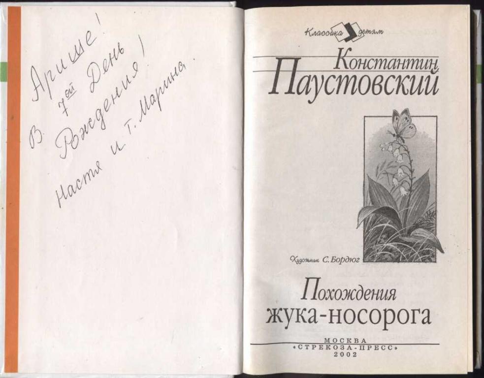 Паустовский жук носорог план
