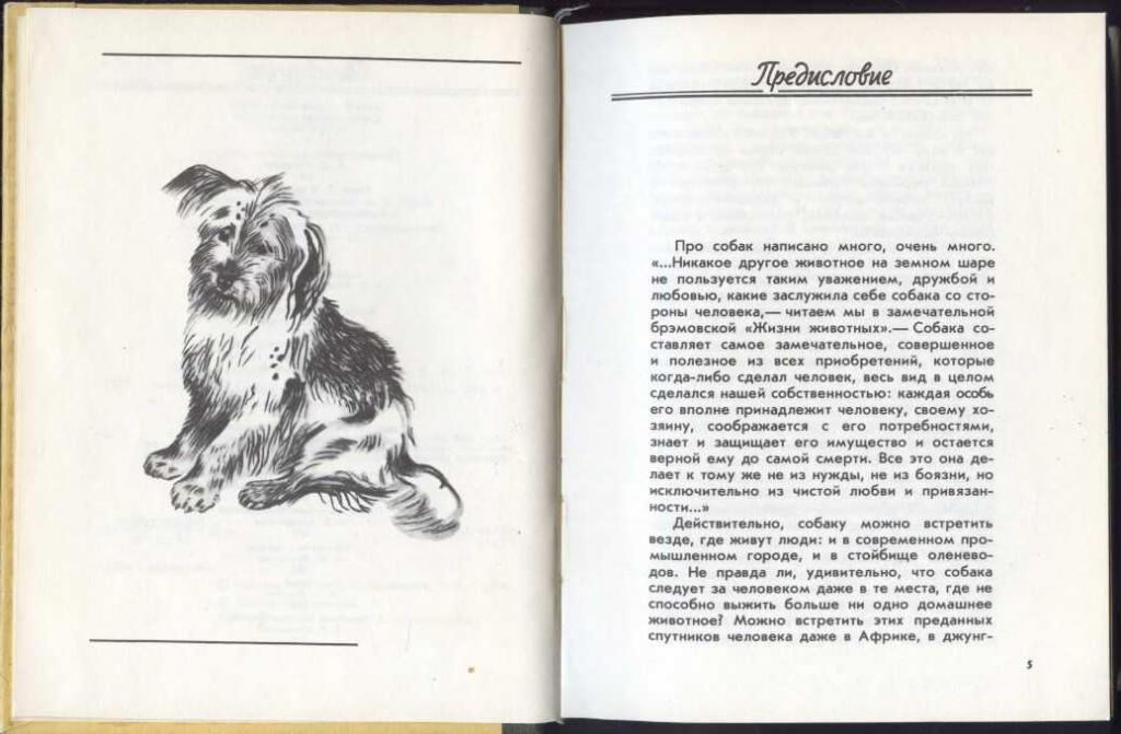 Как пишется собаченок. О чем лают собаки. Книги про собак. О чем лают собаки книга. Собака читает книгу.