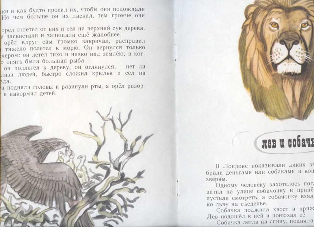 Технологическая карта лев и собачка