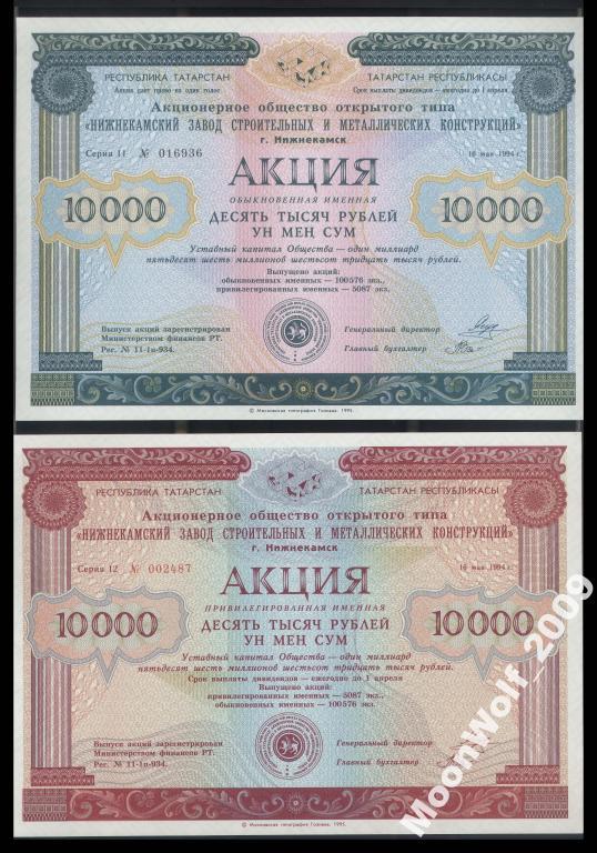 Акция НИЖНЕКАМСК ОБЫКНОВЕННАЯ и ПРИВЕЛИГИРОВАННАЯ 1994 г.