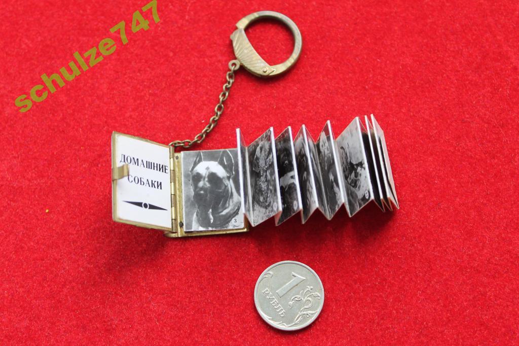 медальон брелок для ключей с балтийским янтарем Волшебная Книга купить