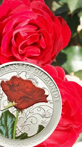 РОЗА красная ЗАПАХ Бенин 2011 цвет 100 фр ЦВЕТОК