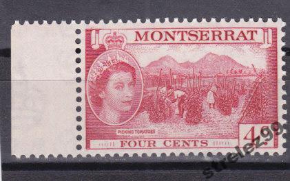 MONTSERRAT  Монтсеррат Томаты 1953 г  № 133 Сост**