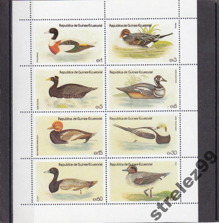 GUINEA ECUATOTIAL Фауна Утки Зубц. Лист Сост**