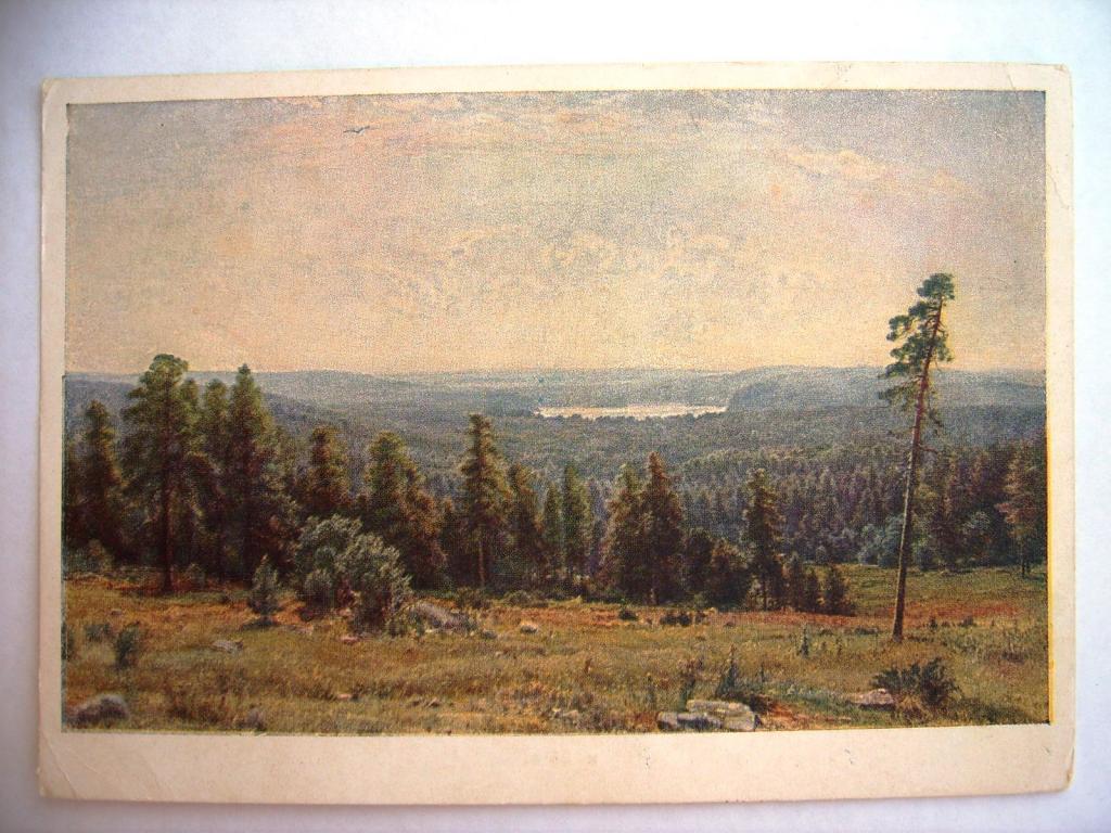 лесные дали художник. виталий васильевич потапов летний пейзаж. и. лесные дали художник. шишкин иван иванович лесные дали.