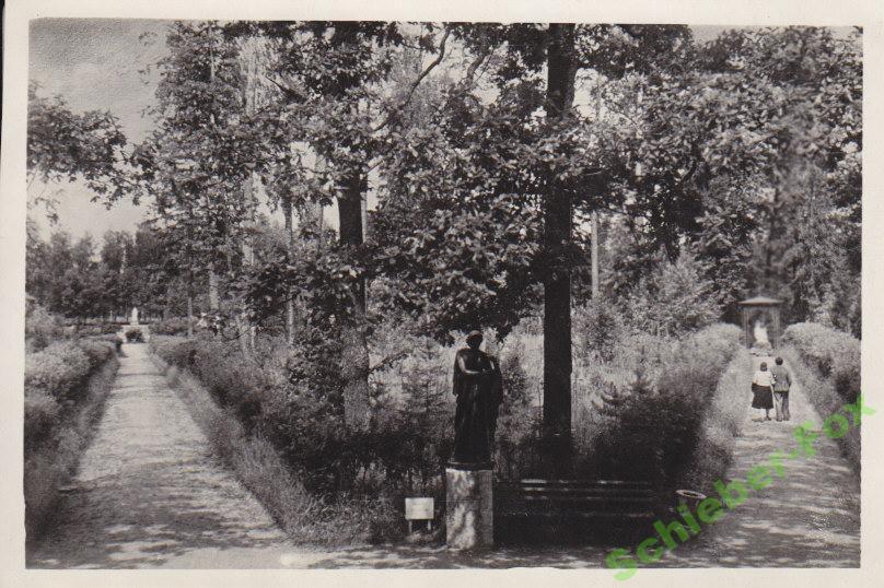 ПАВЛОВСК   У Двенадцати дорожек  1953 г  ЛФХ