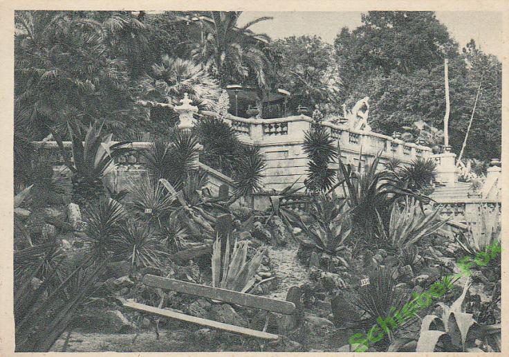 СОЧИ  Парк Опытной станции 30 е гг ПК