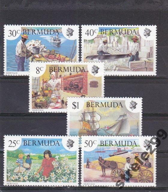 BERMUDA  Сцены из жизни  Серия Сост**