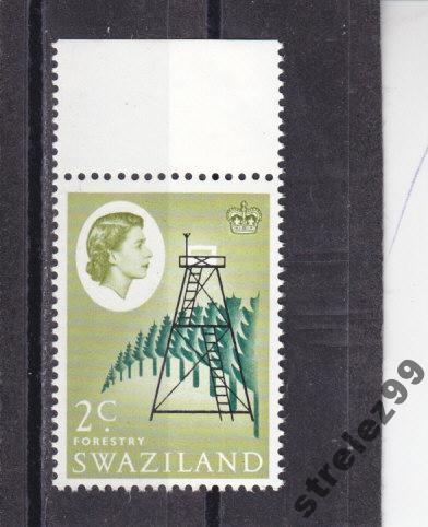 SWAZILAND   Лес  № 94  1962 г Сост**