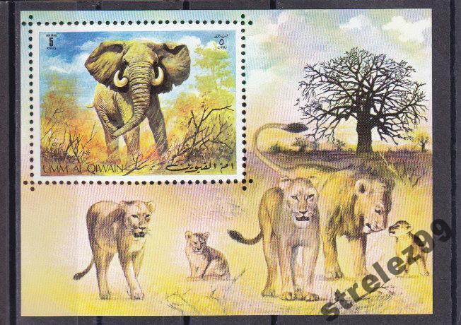 UMM AL QIWAIN   Фауна Слон  Блок б/з Сост**