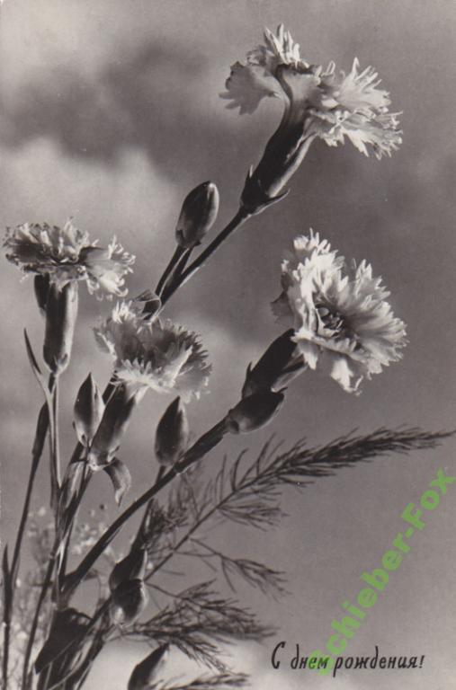 С днем Рождения!  1967 г  ЛИК