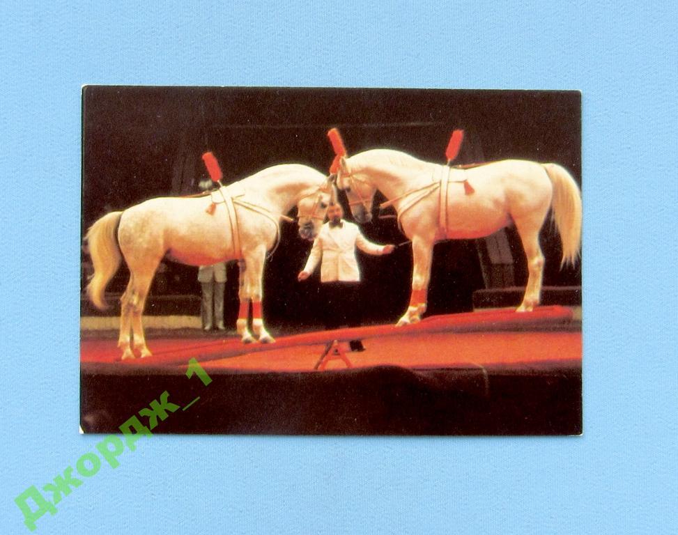 Цирк клоуны дегенераты. Юмор эзотерический цирк с конями. Плакат цирк с конями. Игрушка ссср цирк с лошадью. Цирк с конями афиша.