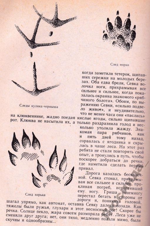 Предложение про следы. Ненянг любовь прокопьевна. Следы птиц. Чей. Читать следы это.