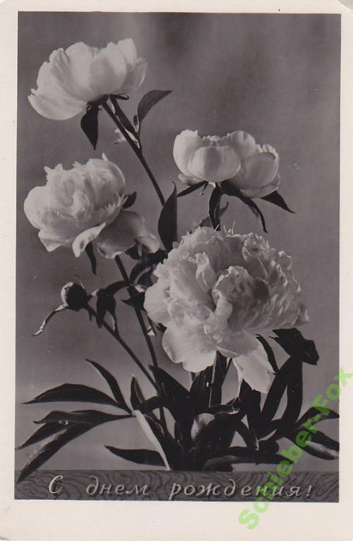 День рождения 1958. С днем рождения 1958.