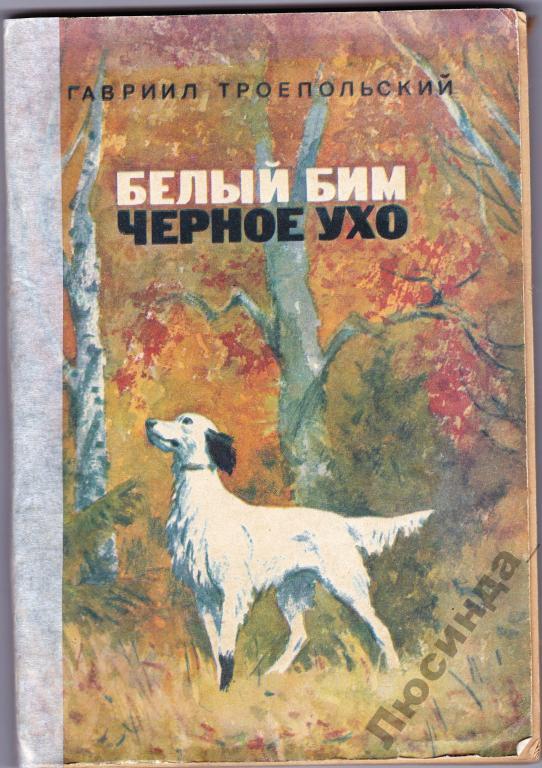 Белый Бим Магазин