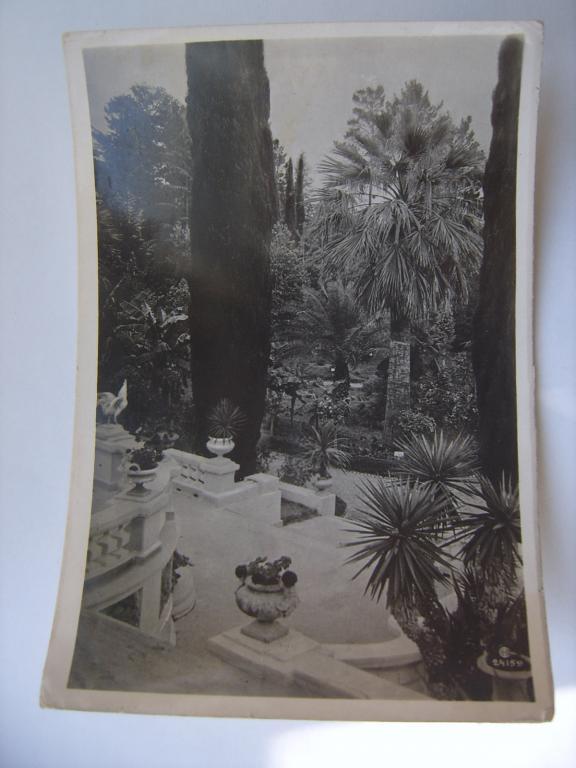 Сочи.Дендрарий.Лестница в парке.1937г.Виды