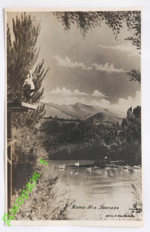 Алма-Ата Зоопарк  СоюзФото