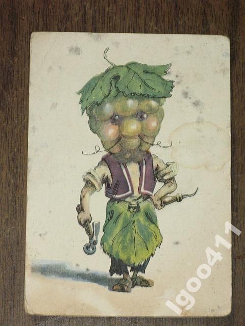 СКАЗКИ. Приключения Чиполлино (Галей 1956 г.)