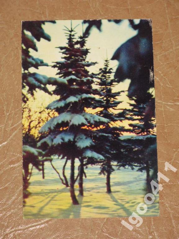 С НОВЫМ ГОДОМ! Елки зима Раскин  1971 г.