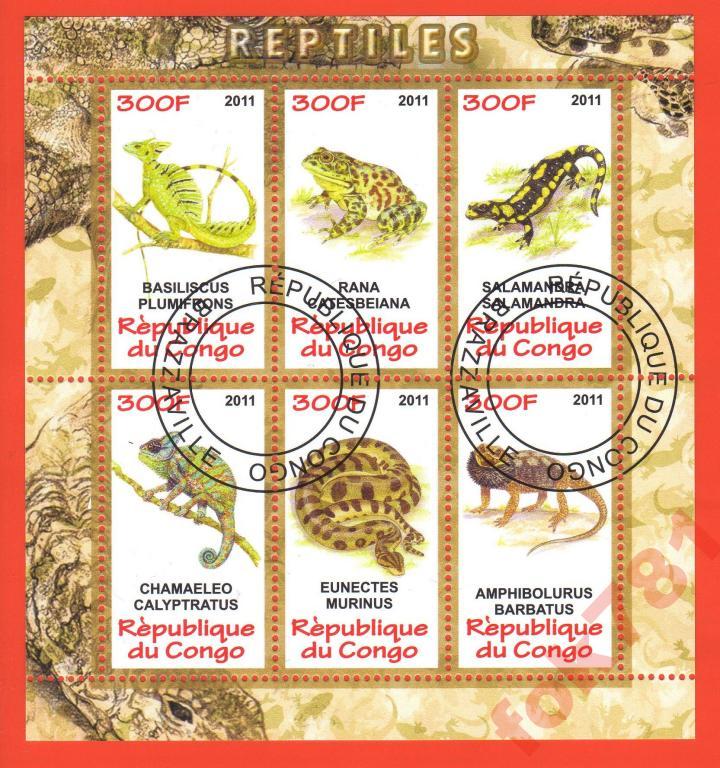 КОНГО ЛЯГУШКИ САЛАМАНДРЫ 2012 ГОД №22