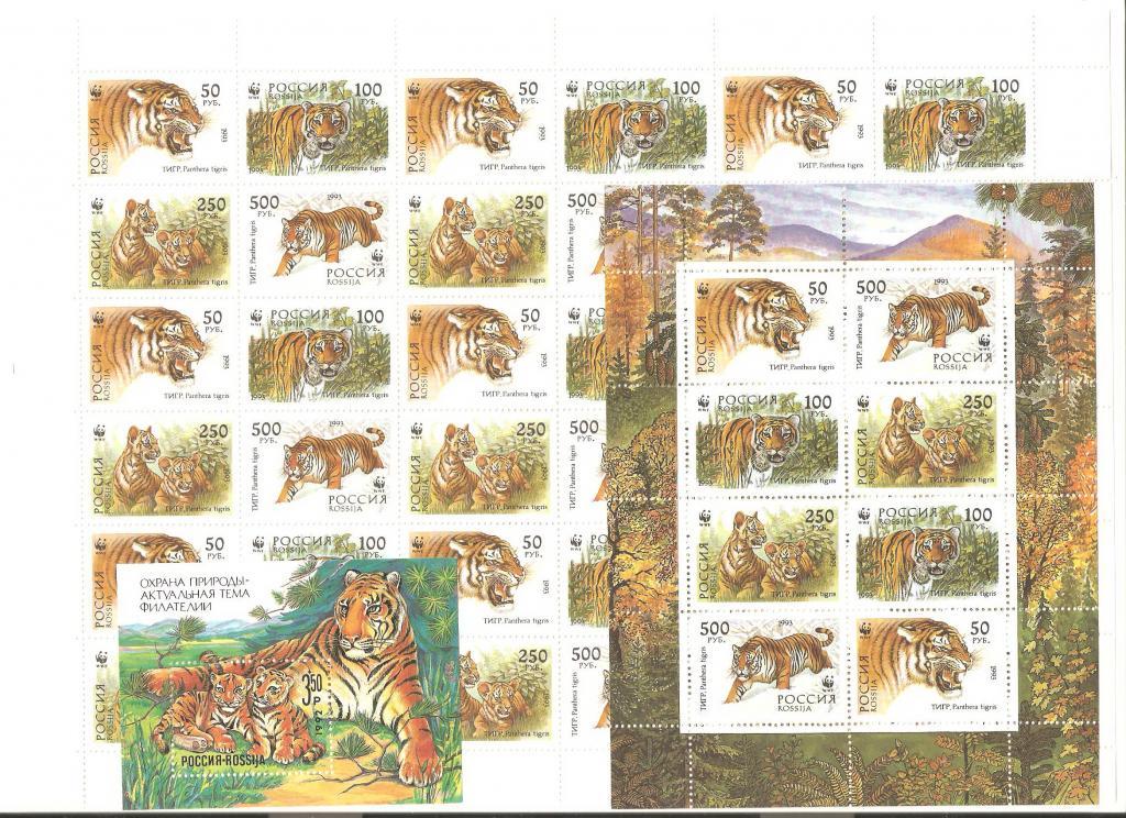 Г155.1993.№124-27.Уссурийские тигры.Тайга.Кошки.