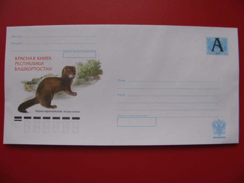 Россия 2008 ХМК Норка европейская.