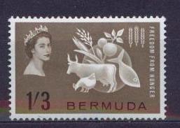 1963.БЕРМУДА. БОРЬБА С ГОЛОДОМ. 060611E7