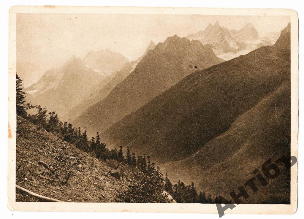 Фото открытка. Кавказ. Вершина Алибек. Вид на ущелья. 1929 год. (Альбом №14)