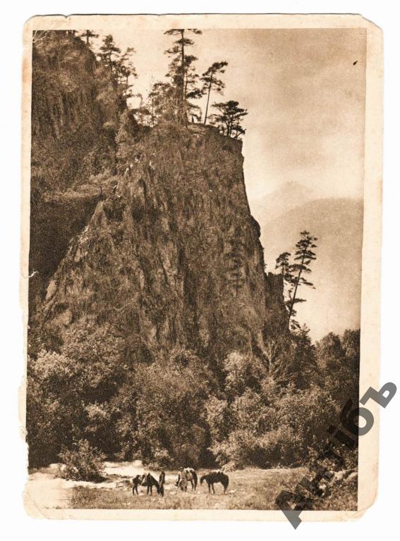 Фото открытка. Карачаево-Черкессия. Кавказ. Скала Джемагат. 1929 год. (Альбом №14)
