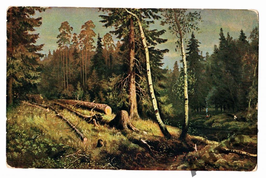 Фото открытка. Шишкин. Рубка леса. (Альбом №14)
