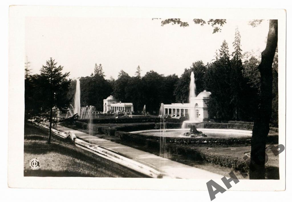 Фото открытка. Петергоф. Аллея фонтанов. 30-е годы. (Альбом №14)