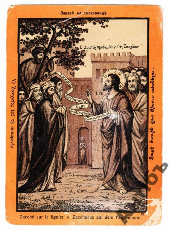 Живопись. Картина. Открытка. Закхей на смоковнице. Религия. до 1917 года. (Альбом №14)