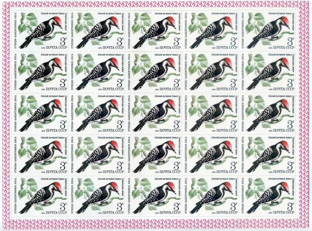 1979 Птицы.Дятел  5002  лист