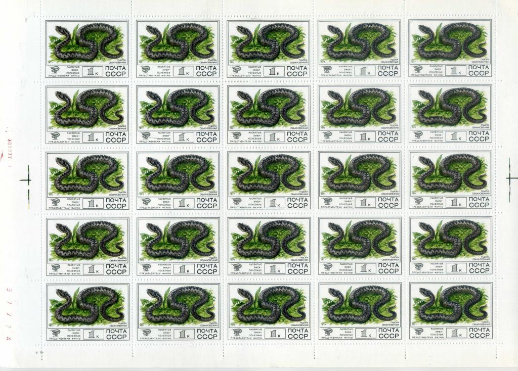 1977 Фауна гадюка обыкновенная 4782 лист