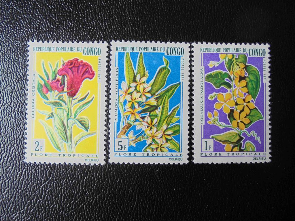 Почтовые марки.Конго 1971 год**Флора