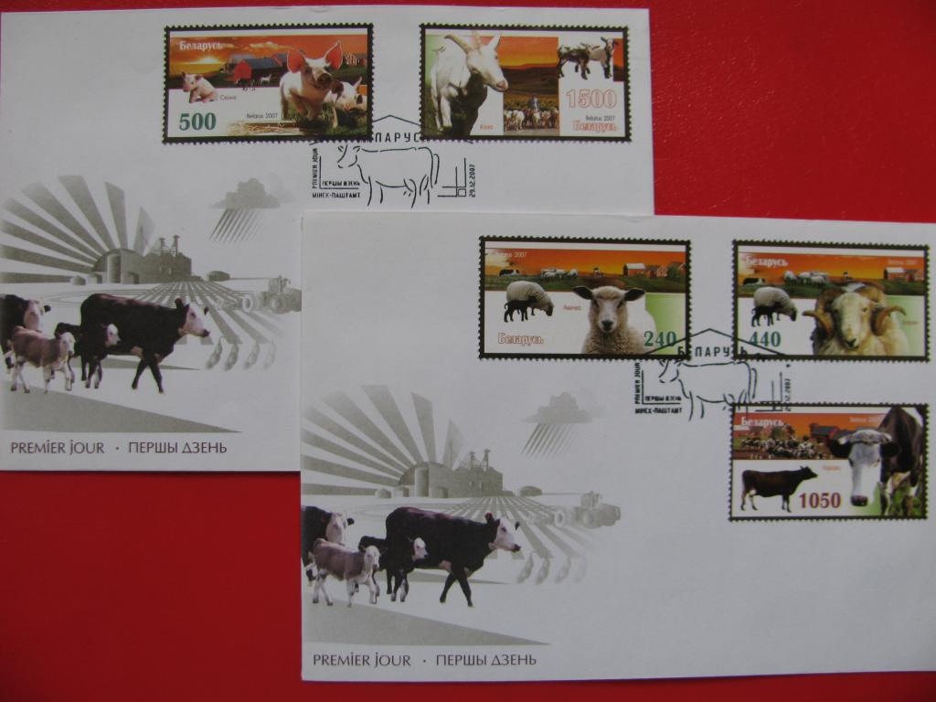 Беларусь 2007 Сельскохозяйственные животные. Домашний скот - 2 КПД