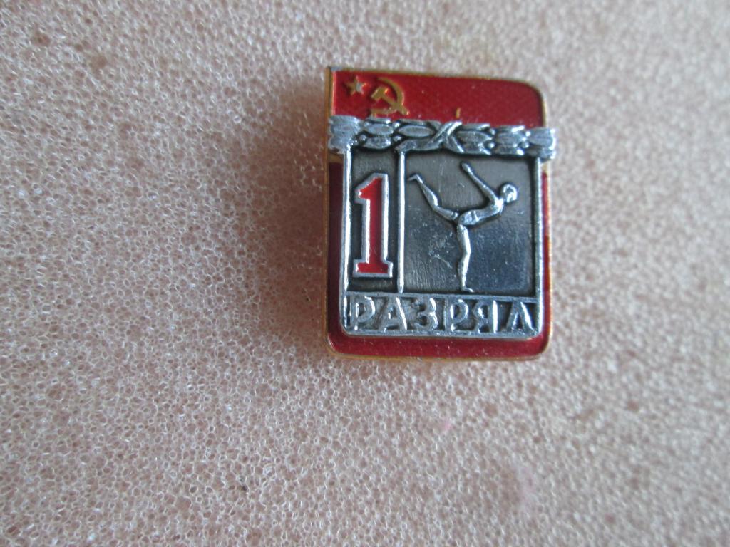 1 разряд спортивная гимнастика,сфс