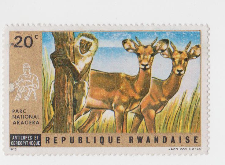 Обезьяны олени. Почтовые марки Руанды. Почтовые марки национальный парк. Зарубежные марки животные. Марки Конго фауна.