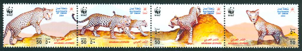 Оман 2004. WWF. Фауна. Дикие кошки. Леопард **