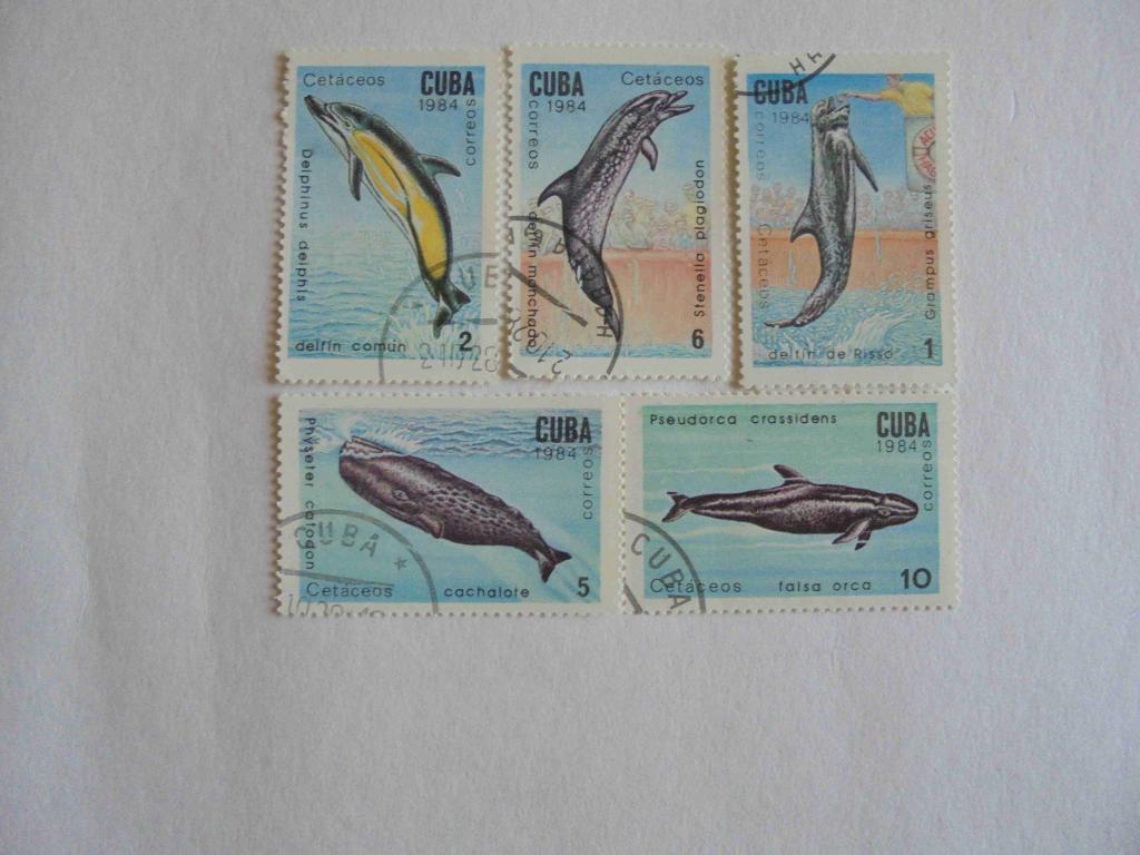 ПОЧТОВЫЕ МАРКИ.КУБА 1984 ГОД *ФЛОРА.