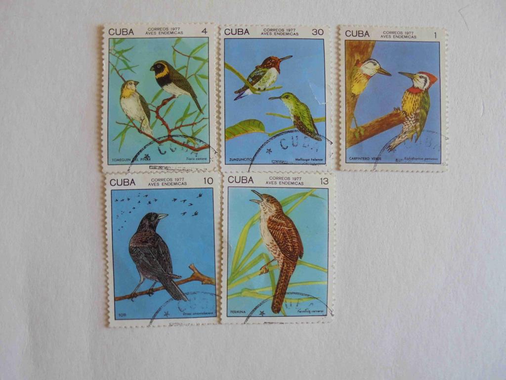 ПОЧТОВАЯ МАРКА. КУБА 1977 ГОД * ФАУНА.