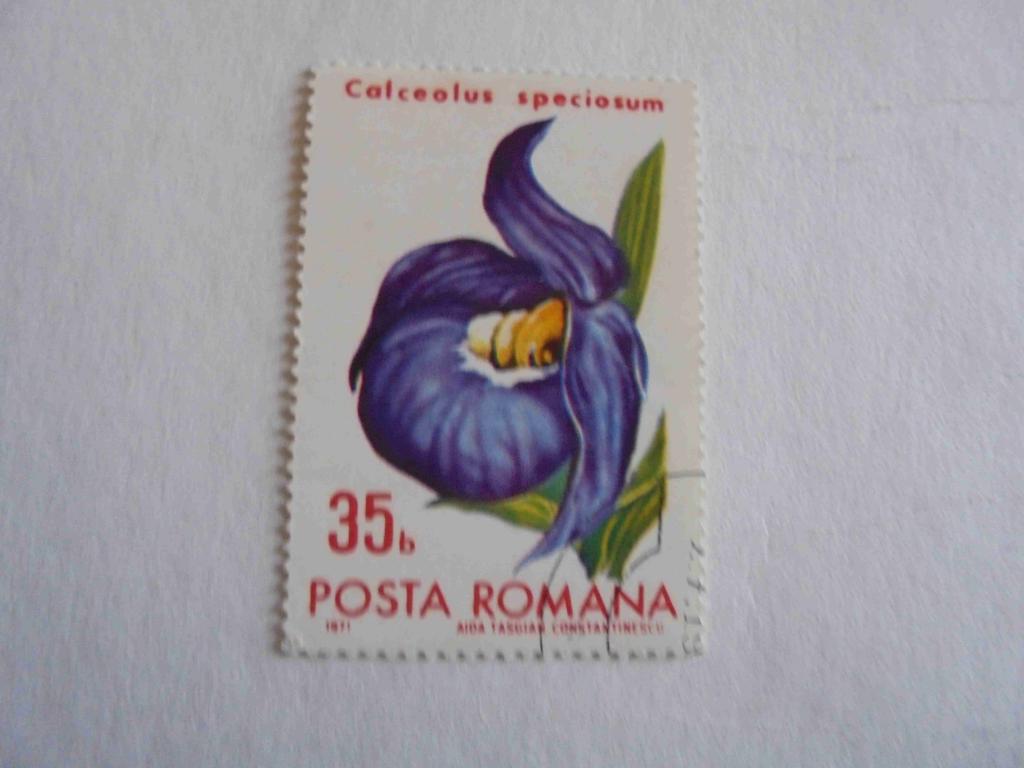 ПОЧТОВАЯ МАРКА.РУМЫНИЯ 1971 ГОД *ФЛОРА.