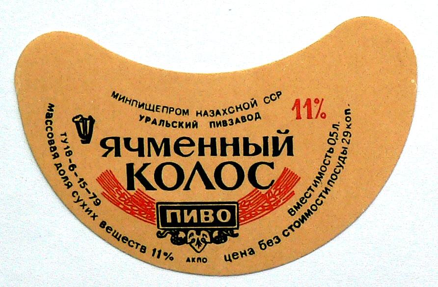 Ячменный колос -- Уральский