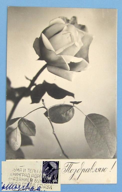 Рекламный штемпель РМШ Ленинград Фотооткрытка  Роза